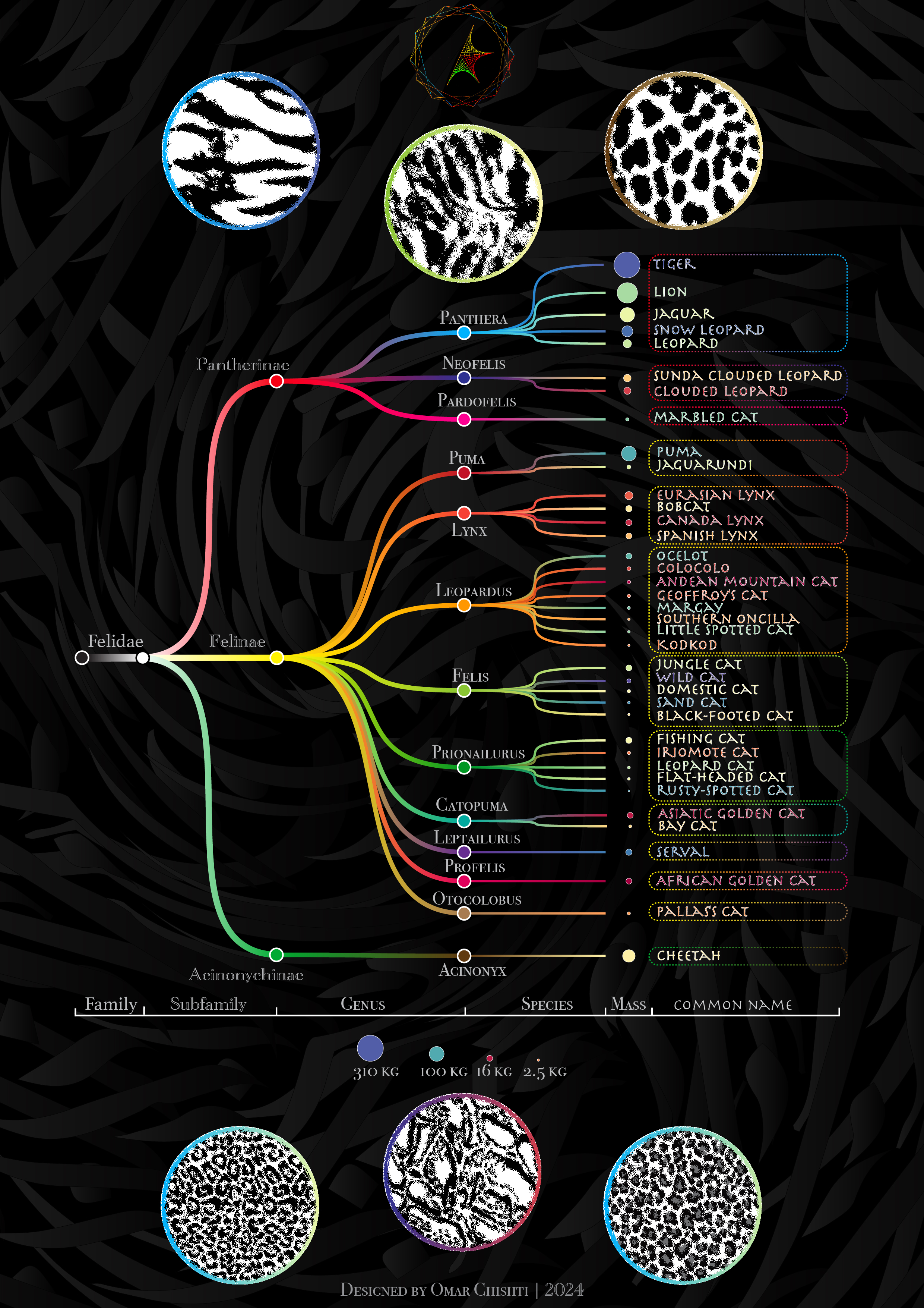 Feline Phylogeny